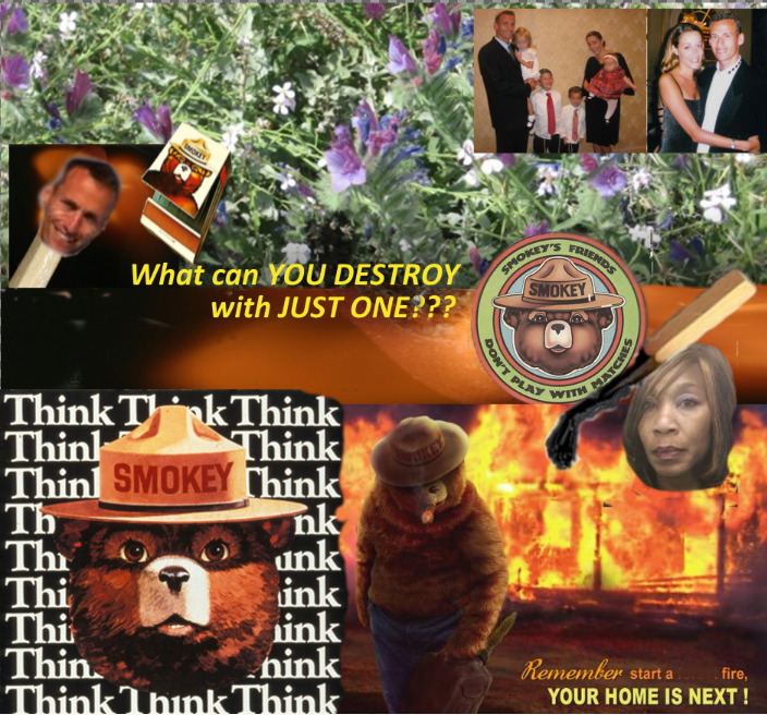 Smokey Bear reminds everyone to THINK. Your entire life and family can be quickly devastated as a result of JUST ONE MATCH! 2015 Naples Ninja News. All rights reserved. 